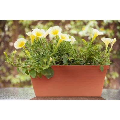 Sonoma Railing Planter - Southern Patio 2 Sonoma Railing Planter - Southern Patio - Image 2