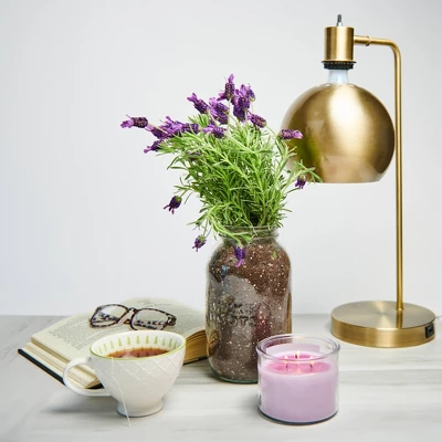 Back To The Roots Organic Lavender Grow Kit 2 Back To The Roots Organic Lavender Grow Kit - Image 2