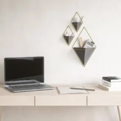 Set Of 2 Trigg Wall Display Planters Black/Brass - Umbra -Sunnydaze Decor Store GUEST 09b138ea 3e6d 4821 b983 1cb428062d1c