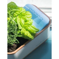 Dewplanter 5 Dewplanter -Sunnydaze Decor Store GUEST 0a42b0f6 1473 47d5 bdf3 67620356876b