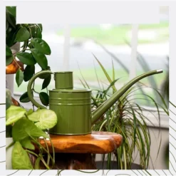 Homarden 34oz Green Long Spout Metal Watering Can Perfect For Outdoor & Indoor Plants -Sunnydaze Decor Store GUEST 0daf9007 9ae9 4f8f a2a9 09bf5c3d4cbf