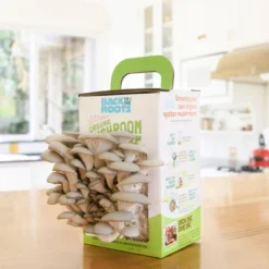Back To The Roots Organic Mushroom Mini Grow Kit Pearl Oyster -Sunnydaze Decor Store GUEST 14af7100 855c 4d85 be8b ca6ce390920d