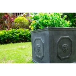 12.6" Kante Lightweight Classic Square English Style Lion Head Concrete Planter Antique Gray - Rosemead Home & Garden, Inc. -Sunnydaze Decor Store GUEST 18e39546 8743 4aec 9777 88c90e5640d9