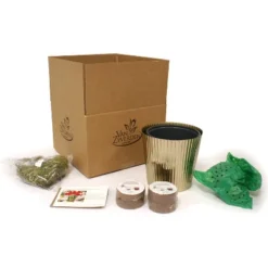 Amaryllis Kit Red Lion Bulb With Iron Brass Fluted Large Planter - Van Zyverden 5 Amaryllis Kit Red Lion Bulb With Iron Brass Fluted Large Planter - Van Zyverden -Sunnydaze Decor Store GUEST 1a829df3 fedd 4979 99c4 45172f65ff76