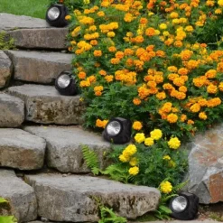 Nature Spring Solar-Powered LED Rock Lights – Black And Gray, 4-Pack -Sunnydaze Decor Store GUEST 1bd5a3a7 8cc5 4916 b662 4536917f7621