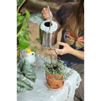 Good Dirt Naturals Indoor/Outdoor Plant Food - 15 Fl Oz 3 Good Dirt Naturals Indoor/Outdoor Plant Food - 15 Fl Oz - Image 3