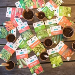 Back To The Roots 20pk Organic USA Herbs And Vegetable Seeds 11 Back To The Roots 20pk Organic USA Herbs And Vegetable Seeds -Sunnydaze Decor Store GUEST 25174905 b564 4663 a98c 918794c8af71