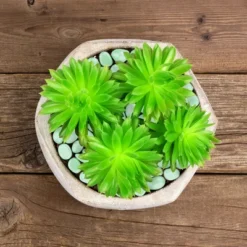 Nature Spring Glow In The Dark Solar Garden Stone Pebble Lights For Landscaping, Flower Beds, And Pathways - Green, 500-pc 8 Nature Spring Glow In The Dark Solar Garden Stone Pebble Lights For Landscaping, Flower Beds, And Pathways - Green, 500-pc -Sunnydaze Decor Store GUEST 2750dd68 b710 4b8c 91ce b15cb3ffeb39