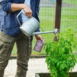 Arber 8oz Organic Bio Fungicide Concentrate -Sunnydaze Decor Store GUEST 2a097dc5 741a 47e6 b566 d6323720fd5f