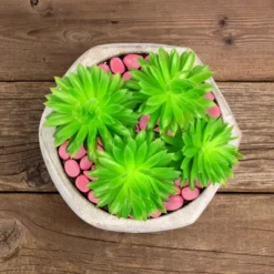 Garden Stones-500 Count Glow In The Dark Solar Pathway Pebble Lights-Decorative Glowing Rocks By Nature Spring (Yellow) 8 Garden Stones-500 Count Glow In The Dark Solar Pathway Pebble Lights-Decorative Glowing Rocks By Nature Spring (Yellow) -Sunnydaze Decor Store GUEST 2cb44203 cb3a 478f 8d2d 570a4555aca8