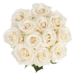 Dozen Fresh Cut White Roses With Vase 7 Dozen Fresh Cut White Roses With Vase -Sunnydaze Decor Store GUEST 2e77c62b 0d61 4541 a62a b919c509cfa7