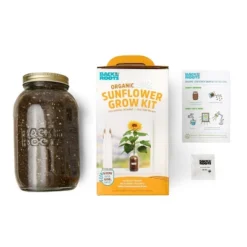 Back To The Roots Organic Sunflower Grow Kit -Sunnydaze Decor Store GUEST 2f04d7e8 ace1 450b 93e3 7a6643d2d00d