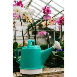 2.5gal Deluxe Watering Can - Bloem -Sunnydaze Decor Store GUEST 2fc35430 ec12 4ca9 b12f 81ee92da5796