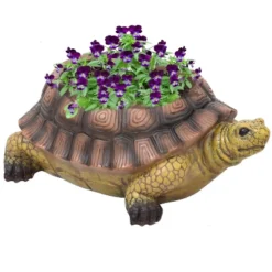 Sunnydaze Decor Sunnydaze Polyresin Teddy The Turtle Decorative Indoor/Outdoor Garden Planter For Patio, Lawn, Porch And Backyard - 11" W - Green And Brown 9 Sunnydaze Decor Sunnydaze Polyresin Teddy The Turtle Decorative Indoor/Outdoor Garden Planter For Patio, Lawn, Porch And Backyard - 11" W - Green And Brown -Sunnydaze Decor Store GUEST 317784b7 f741 4e46 8e4c f46fa8867416
