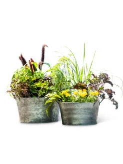 Gardener's Supply Company Galvanized Planter | Sturdy Vintage Style Galvanized Wash Basin Farmhouse Metal Planters With Side Holders For Herbs, 5 Gardener's Supply Company Galvanized Planter | Sturdy Vintage Style Galvanized Wash Basin Farmhouse Metal Planters With Side Holders For Herbs, -Sunnydaze Decor Store GUEST 331129f5 7434 46a6 a78e 4f9175b24105