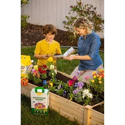 Sunday Outdoor Wildflower Garden Kit 5 Sunday Outdoor Wildflower Garden Kit - Image 5