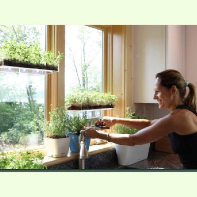 Window Garden Seed Starter Soil Mix For Indoor And Outdoor Planting 1 Window Garden Seed Starter Soil Mix For Indoor And Outdoor Planting