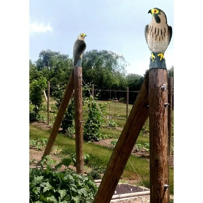 Bird-X Bird Decoy - Falcon 1 Bird-X Bird Decoy - Falcon