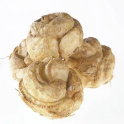 3ct Fritillaria Blend Bulbs - Van Zyverden