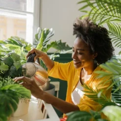 Back To The Roots All Purpose Plant Food 1.5lb -Sunnydaze Decor Store GUEST 3f6d251c b8d7 4d56 bf20 80216fc4f3e4