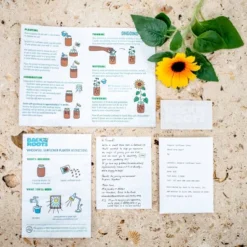 Back To The Roots Organic Sunflower Grow Kit -Sunnydaze Decor Store GUEST 4135958c b71c 4ba1 beff 5c992cca4459