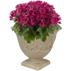 Sunnydaze Decor Sunnydaze Indoor/Outdoor Patio, Garden, Or Porch Weather-Resistant Double-Walled Darcy Flower Pot Planter - 16" - Beige 11 Sunnydaze Decor Sunnydaze Indoor/Outdoor Patio, Garden, Or Porch Weather-Resistant Double-Walled Darcy Flower Pot Planter - 16" - Beige -Sunnydaze Decor Store GUEST 416d0e26 fa34 4d22 a255 823c90d2faf3