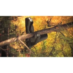 Worx WG307 5 Amp JawSaw Electric Chainsaw