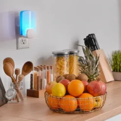 Raid Essentials Flying Insect Light Trap Starter Kit - 1 Device + 1 Refill -Sunnydaze Decor Store GUEST 45e610e2 27e5 4d56 af02 7826bf8097aa