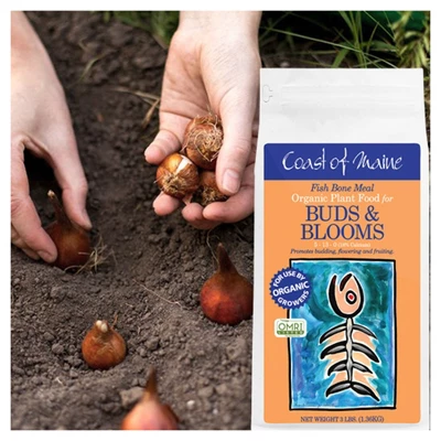 Coast Of Maine OMRI Listed Fish Bone Meal Pack Organic Compost Potting Soil Blend For Container Gardens And Flower Pots, 3 Pound Bag 4 Coast Of Maine OMRI Listed Fish Bone Meal Pack Organic Compost Potting Soil Blend For Container Gardens And Flower Pots, 3 Pound Bag - Image 4