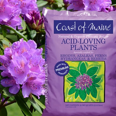 Coast Of Maine Organic Natural Garden Compost Potting Planting Soil Blend For Acid Loving Plants, Bushes, And Flowers, 20 Quart Bag (2 Pack) 2 Coast Of Maine Organic Natural Garden Compost Potting Planting Soil Blend For Acid Loving Plants, Bushes, And Flowers, 20 Quart Bag (2 Pack) - Image 2