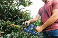 Blue Ridge BR8200U 3.2 Amp Electric 17" Hedge Trimmer 15 Blue Ridge BR8200U 3.2 Amp Electric 17" Hedge Trimmer -Sunnydaze Decor Store GUEST 4c472c9b 86d5 4786 987b 4fd730a35c37