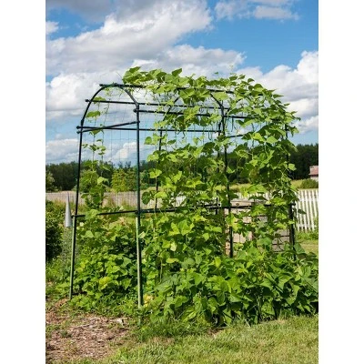 Gardener’s Supply Company Extra Tall Garden Arch Arbor 80in Titan Squash Tunnel | Lightweight Metal Garden Arch Trellis Plant Stand For Climbing Vines 1 Gardener’s Supply Company Extra Tall Garden Arch Arbor 80in Titan Squash Tunnel | Lightweight Metal Garden Arch Trellis Plant Stand For Climbing Vines