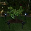Set Of 4 Outdoor Solar Powered Pathway LED Light Stakes Silver/Black - Alpine Corporation