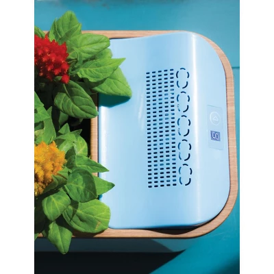 Dewplanter 2 Dewplanter - Image 2