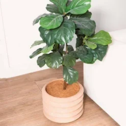 Envelor 10pk 14" Coco Coir Plant Cover Mulch Mat 6 Envelor 10pk 14" Coco Coir Plant Cover Mulch Mat -Sunnydaze Decor Store GUEST 5fdc306f fbba 4caa 91c7 0205d85d5164