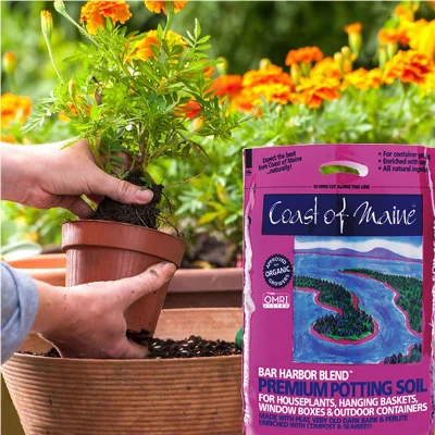 Coast Of Maine OMRI Listed Bar Harbor Blend Organic Compost Potting Soil Blend For Container Gardens And Flower Plant Pots, 16 Quart Bag 1 Coast Of Maine OMRI Listed Bar Harbor Blend Organic Compost Potting Soil Blend For Container Gardens And Flower Plant Pots, 16 Quart Bag