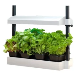 SunBlaster SL1600219 Growlight Micro Sized Complete LED Powered Indoor Garden Stand System, White 7 SunBlaster SL1600219 Growlight Micro Sized Complete LED Powered Indoor Garden Stand System, White -Sunnydaze Decor Store GUEST 63c0b5c2 c7fd 4ff7 ad48 a8bf791ac237