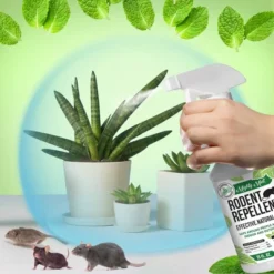 Mighty Mint Rodent Repellent Concentrate - 8oz 8 Mighty Mint Rodent Repellent Concentrate - 8oz -Sunnydaze Decor Store GUEST 67f94e63 c4ed 42fe 9484 d8d2fe495c63
