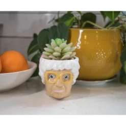 Silver Buffalo The Golden Girls Sophia Face Mini Ceramic Planter With Faux Succulent | 3 Inches 8 Silver Buffalo The Golden Girls Sophia Face Mini Ceramic Planter With Faux Succulent | 3 Inches -Sunnydaze Decor Store GUEST 6c445ce6 e33c 4981 be37 38baf9197e80