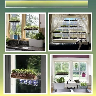 Window Garden Microgreen Organic Sunflower 3 Pack Refill 1 Window Garden Microgreen Organic Sunflower 3 Pack Refill