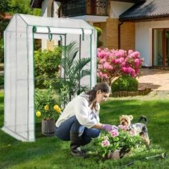 Costway 39'' X 32'' X 59'' Walk-in Garden Greenhouse Warm House For Plant Growing -Sunnydaze Decor Store GUEST 6d3c9cf4 5472 4b69 bc7c 58d02893f9a1
