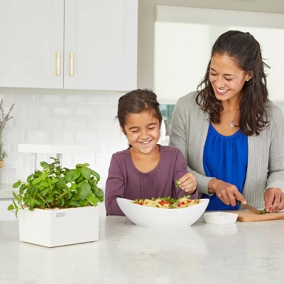 Back To The Roots Hydroponic Grow Kit With Organic Seeds 2 Back To The Roots Hydroponic Grow Kit With Organic Seeds - Image 2