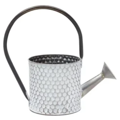 Okuna Outpost Galvanized Metal Watering Can Vase For Indoor Outdoor Plant, Succulents (5.1 X 10 In) 13 Okuna Outpost Galvanized Metal Watering Can Vase For Indoor Outdoor Plant, Succulents (5.1 X 10 In) -Sunnydaze Decor Store GUEST 758a551a 4c7e 459e b195 0b362c389f04