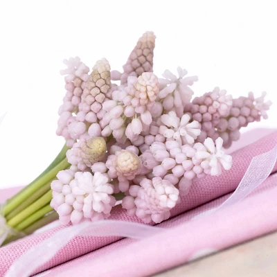 10ct Grape Hyacinths Pink Sunrise Bulbs - Van Zyverden 2 10ct Grape Hyacinths Pink Sunrise Bulbs - Van Zyverden - Image 2