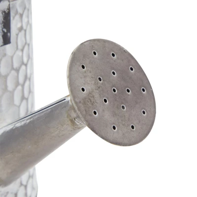 Okuna Outpost Galvanized Metal Watering Can Vase For Indoor Outdoor Plant, Succulents (5.1 X 10 In) 6 Okuna Outpost Galvanized Metal Watering Can Vase For Indoor Outdoor Plant, Succulents (5.1 X 10 In) - Image 6