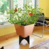 16" Wide Square Copper Plated Galvanized Steel Flower Box With Black Wrought Iron Plant Stand - ACHLA Designs