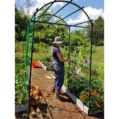 Gardener’s Supply Company Extra Tall Garden Arch Arbor 80in Titan Squash Tunnel | Lightweight Metal Garden Arch Trellis Plant Stand For Climbing Vines 3 Gardener’s Supply Company Extra Tall Garden Arch Arbor 80in Titan Squash Tunnel | Lightweight Metal Garden Arch Trellis Plant Stand For Climbing Vines - Image 3