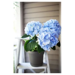 Bloem Saturn Planter With Saucer