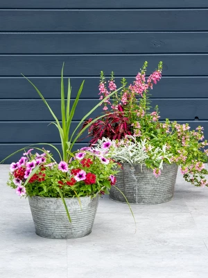 Gardener's Supply Company Galvanized Planter | Sturdy Vintage Style Galvanized Wash Basin Farmhouse Metal Planters With Side Holders For Herbs, 1 Gardener's Supply Company Galvanized Planter | Sturdy Vintage Style Galvanized Wash Basin Farmhouse Metal Planters With Side Holders For Herbs,