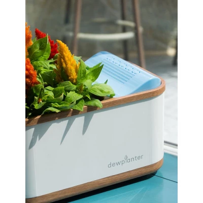 Dewplanter 1 Dewplanter